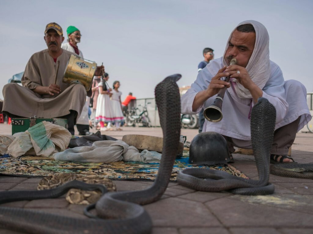 Snake charmers performing in Marrakesh, Morocco