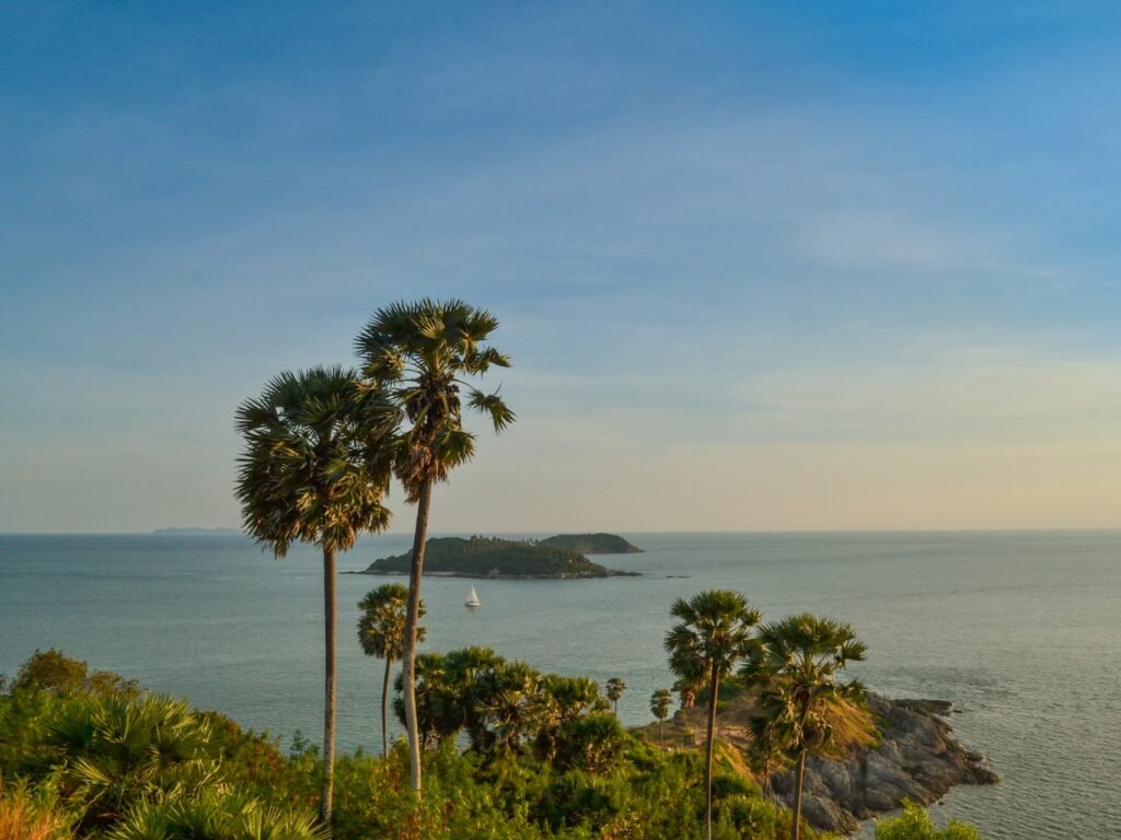 Green tropical nature in Phuket near water