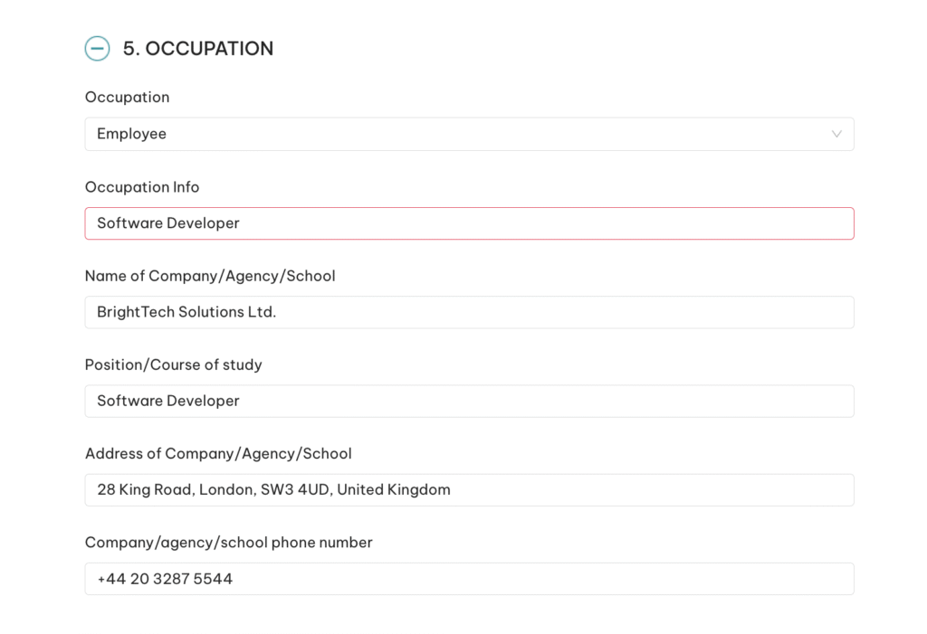 Vietnam e-Visa example — occupation and employer details