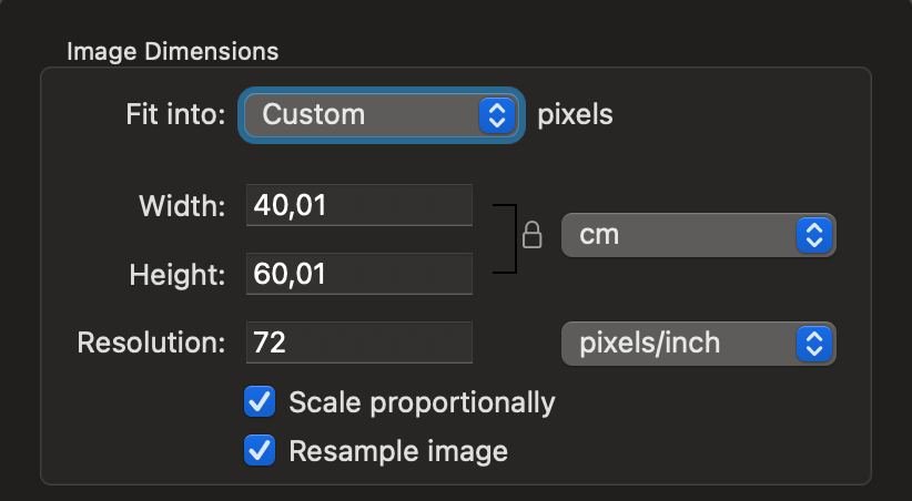 Image size settings — resizing a photo for e-Visa to Vietnam