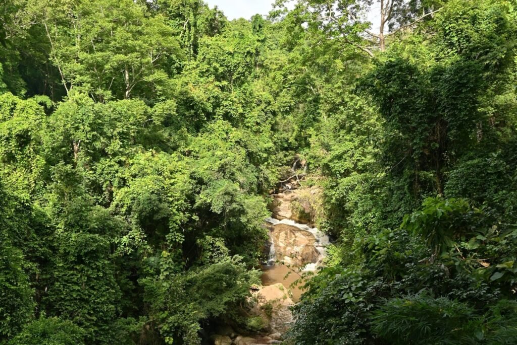 Small waterfall in a forest near Chiang Mai, Northern Thailand