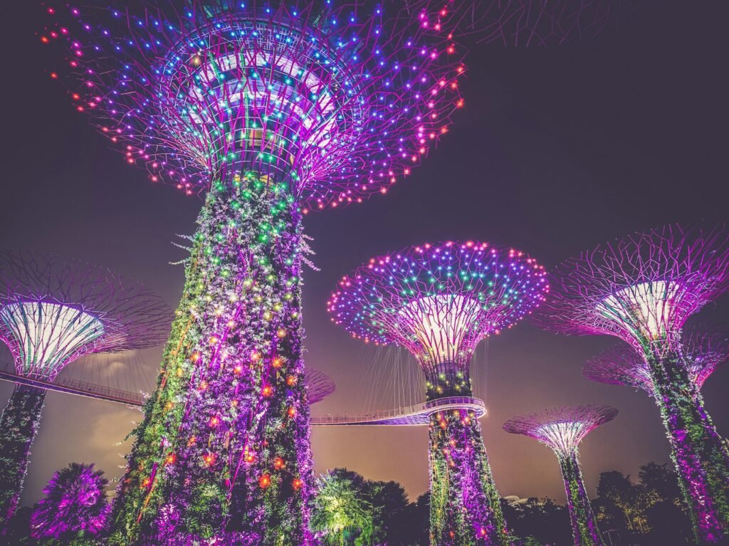Illuminated Supertrees at Gardens by the Bay in Singapore at night