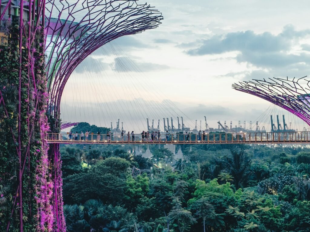 OCBC Skyway walkway between Supertrees in Singapore
